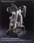Nouvelles acquisitions du département des sculptures 1984-1987