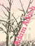 Adam adach