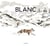 Blanc : une histoire dans la montagne