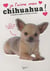 Je l'aime mon chihuahua !