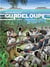 Histoire des îles de Guadeloupe Tome 3 : système esclavagiste