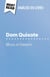 Dom Quixote de Miguel de Cervantès (Analise do livro) : Analise completa e resumo pormenorizado do trabalho