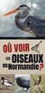 Où voir les oiseaux en normandie ?