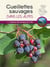Cueillettes sauvages dans les alpes