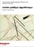 L'action publique algorithmique : risques et perspectives