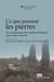 Ce que peuvent les pierresVie et puissance des matières lithiques entre rites et savoirs : Vie et puissance des matières lithiques entre rites et savoirs
