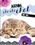 Agenda cha-cha-chat 2015-2016