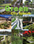 Green city spaces - urban landscape architecture