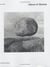 Klaus merkel album of stones