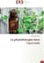 La phytothérapie dans l'ayurveda