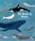 The world of whales - get to know the giants of the ocean