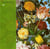 Flowers in the mauritshuis
