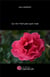 La vie n'est pas que rose