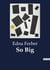 So Big : A Tale of Social Class and Personal Struggles in Edwardian England