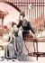 You ve got mail: the perils of pigeon post fei ge jiao you xu jin - shen novel vol.