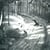 Hvis lyset tar oss