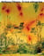 Wolfgang Tillmans : to look without fear