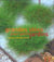 Grandes idees pour petits jardins - concevoir, amenager, decorer