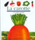 La carotte et le jardin potager