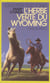 L'herbe verte du wyoming