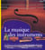 La musique des instruments - des flutes en os de la prehistoire jusqu'aux guitares electriques