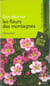 GP sur les fleurs de montagnes