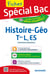 Fiches spécial bac : histoire-géographie - terminales L, ES
