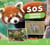 Défis nature : S.O.S. Animaux menaces : On passe à l'action !