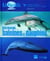 Destination baleines et dauphins
