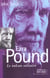 Ezra pound : le volcan solitaire