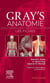 Gray's Anatomie : Les fiches