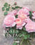 Roses vintage - des roses anciennes aux roses nouvelles : une histoire illustrée