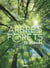 Le grand atlas des arbres et forêts
