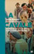 La cavale : un peintre juif et son épouse dans la France des années 40