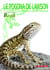 Le pogona de Lawson