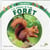 Les animaux de la forêt