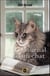 Le Journal d'un chat