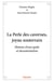 La Perle des cavernes, joyau souterrain : Histoire d'une quête et documentation