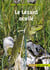 Le Lézard ocellé