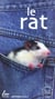 Le rat