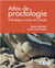 Atlas de proctologie : pathologies anales de l'adulte