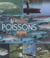 Lexiguide des poissons de pêche