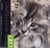 Calendrier géo chats 2012