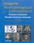 Imagerie rhumatologique et orthopédique Tome 4 : tumeurs et pseudo-tumeurs osseuses