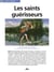 LES SAINTS GUERISSEURS