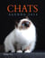 Agenda Chat 2014