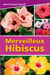Merveilleux hibiscus