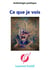 Ce que je vois