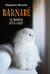 Barnabé : le roman d'un chat