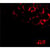 Blood - édition limitée